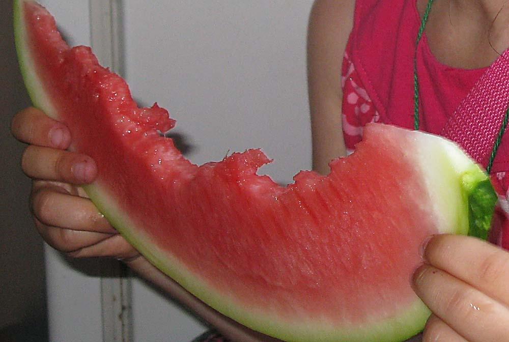 Autors: Aija Konrāde