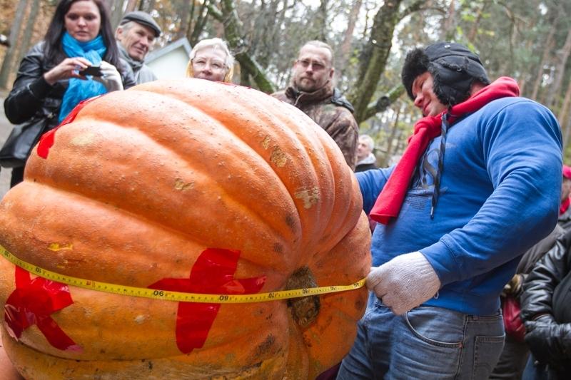 Autors: Publicitātes foto