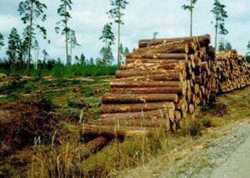 Autors: No interneta