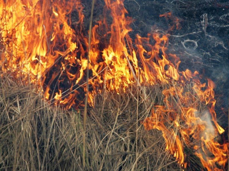 Autors: No interneta