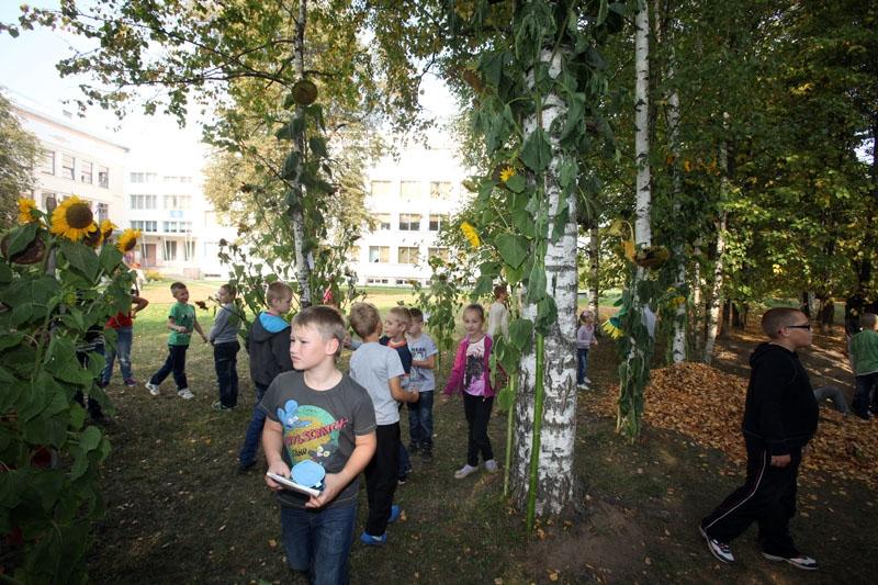 Aluksniesiem.lv raksta attēla aizvietotājs