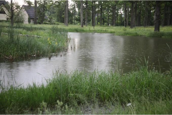 Autors: Gatis Bogdanovs (no arhīva)