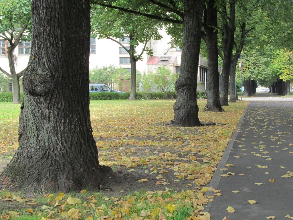 Autors: Pārsla Konrāde