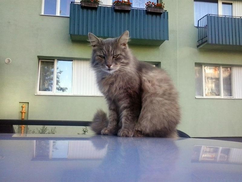 Autors: No personiskā arhīva