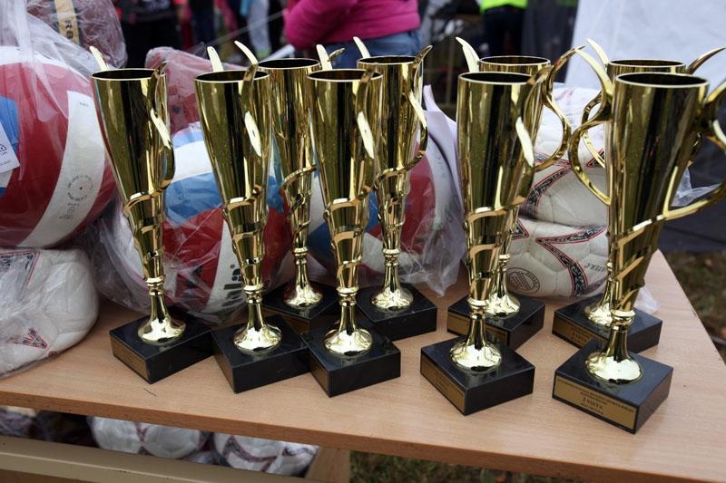 Autors: Ziedonis Lazdiņš