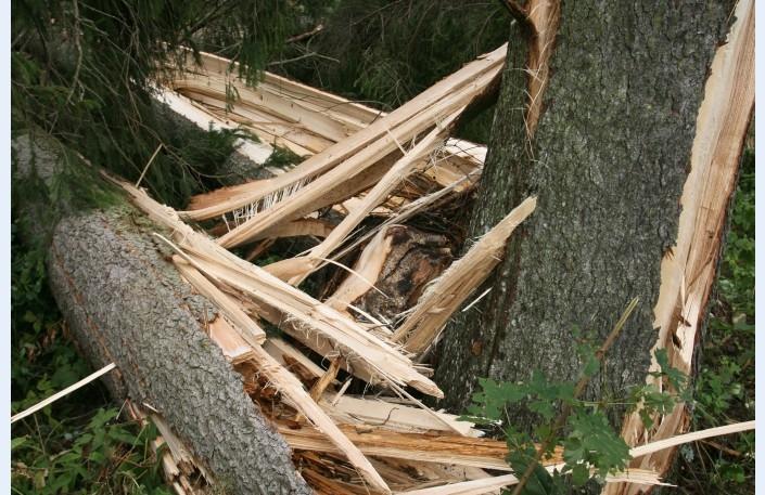 Autors: No interneta