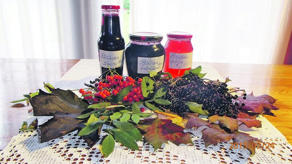 Ziema nav aiz kalniem, tāpēc jāpasteidzas ievākt melnā plūškoka un pīlādža augļus. Ievārījums, sula vai sīrups, pievienots tējai, ir gan profilaktisks līdzeklis, gan palīdz pret saaukstēšanās slimībām, bet iecukurotās ogas kēksu mīklā var aizvietot rozīnes.
Autors: VALIJA BELUZA