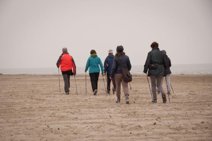 Autors: www.apollo.lv