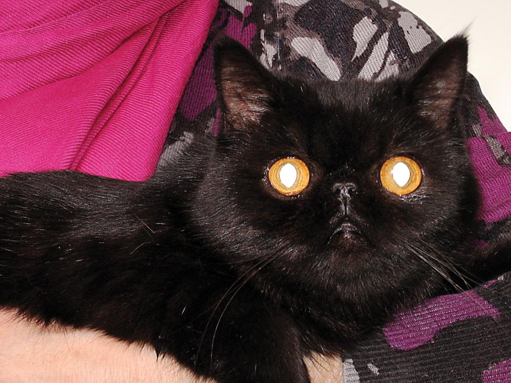 Autors: Foto: no personiskā albuma