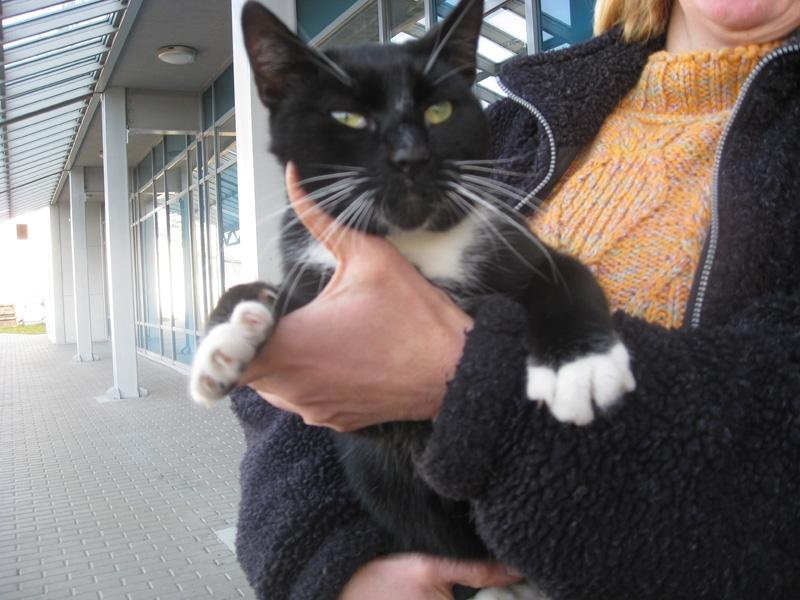 Melnītis gaida savu saimnieku pie veikala 