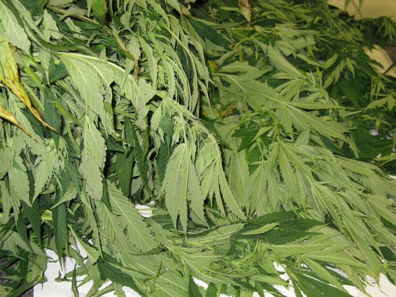 Autors: No policijas arhīva