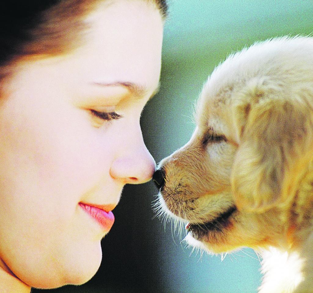 Autors: FOTO: no www.naturalbodyhealing.com