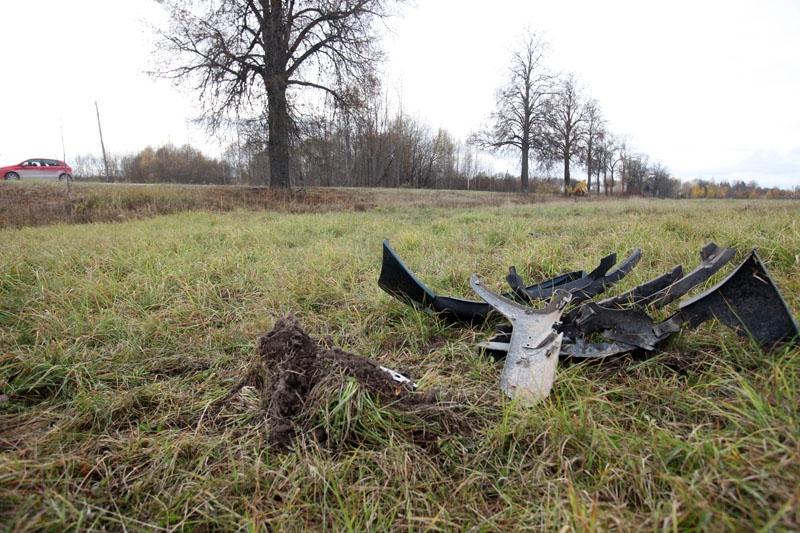 19.oktobrī pulksten 03:10 Stradu pagastā  autoceļa Gulbene - Balvi 4.km automašīnas OPEL TIGRA vadītājs nav ticis galā  ar automašīnas vadību, tā nobraukusi no ceļa braucamās daļas un apgāzusies. 
Autors: Gatis Bogdanovs