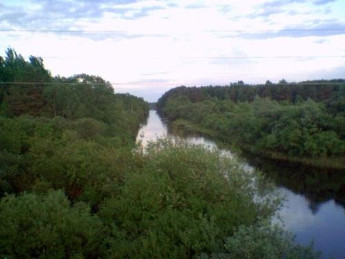 Autors: No interneta