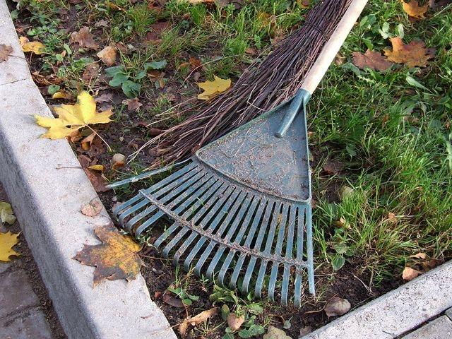 Autors: No interneta