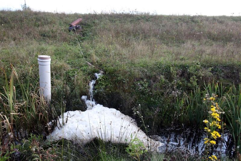 Autors: Gatis Bogdanovs (no arhīva)