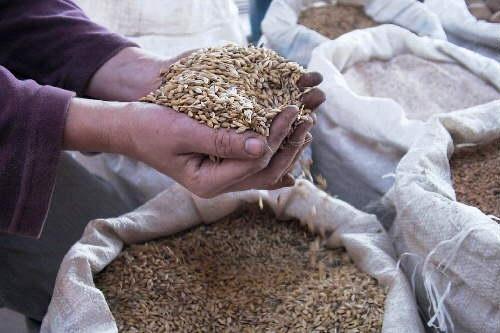 Autors: www.latgaleslaiks.lv