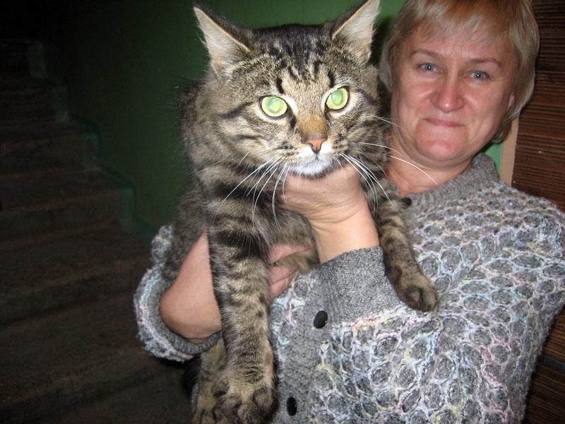 Judīte Cinglere ir norūpējusies par to, ka tuvojas ziema, kas, iespējams, var būt barga, un jaukais kaķis faktiski dzīvo uz ielas. “Viņam ir vajadzīgs cilvēks, mājas. Es lūdzu atsaukties šā kaķīša īsto saimnieku vai citu labu cilvēku, kurš vēlas mājās mīlīgu dzīvnieku,