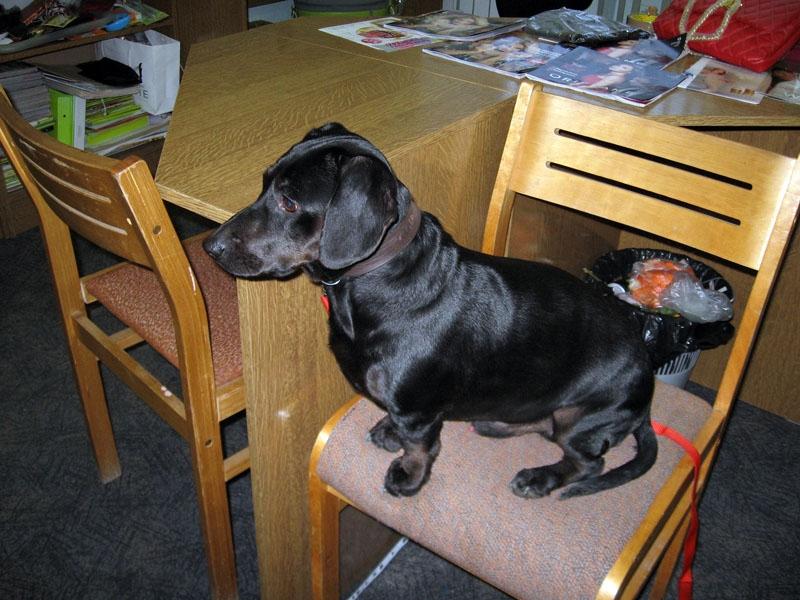 Autors: No personiskā arhīva