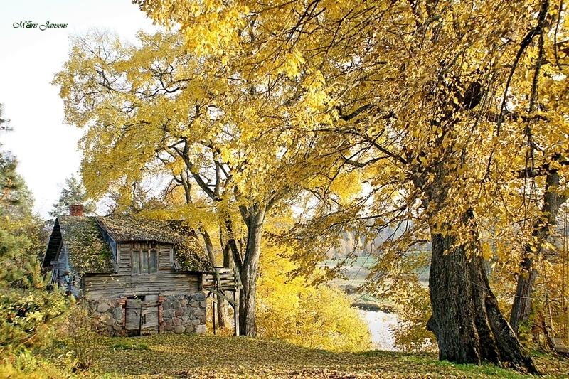 Māra jansona fotogrāfija “Nāk rudens izgleznot “Lācītes””.