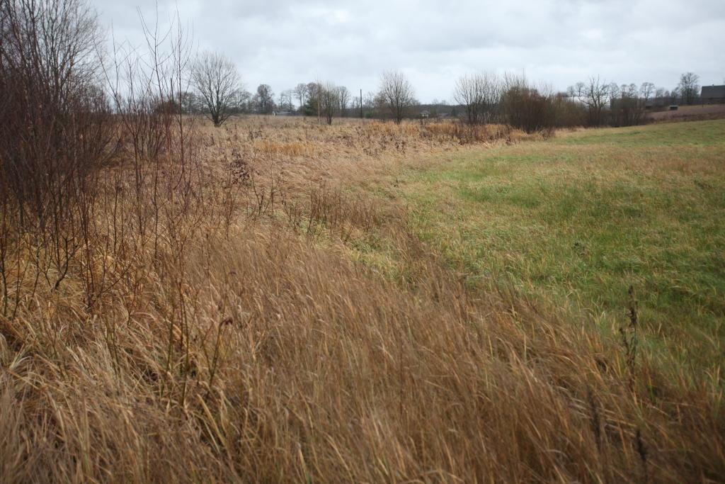 Ja platību maksājumiem saimnieks negodīgi pieteicis nepļautu platību un tas konstatēts, apsekojot lauksaimniecībā izmantojamās platības, tad īpašniekam ne tikai nāksies maksāt dubultu nekustamā īpašuma nodokli, bet tiks samazināti arī atbalsta maksājumi. 
Autors: Gatis Bogdanovs