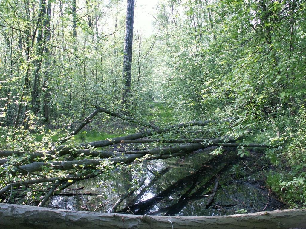 Autors: No interneta