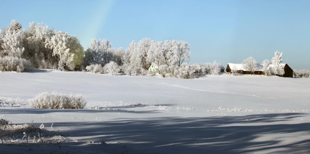 Autors: Gatis Bogdanovs