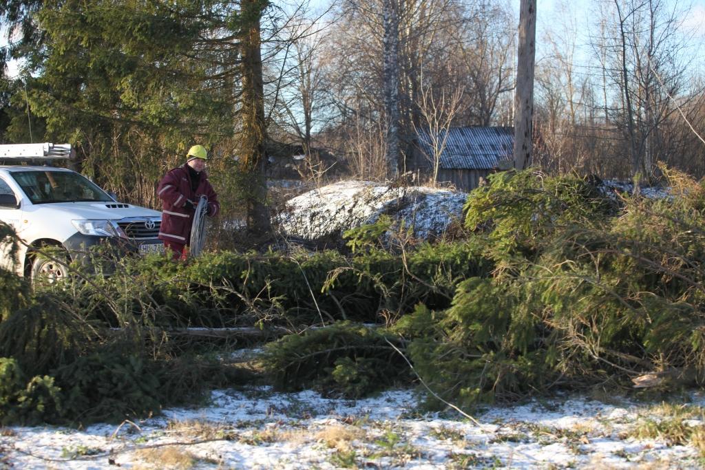 Spēcīgais vējš bija lauzis egles Elstēs, kuras nokrita uz elektrolīnijām, līdz ar to mājsaimniecības tur bija palikušas bez elektrības.
Autors: Gatis Bogdanovs