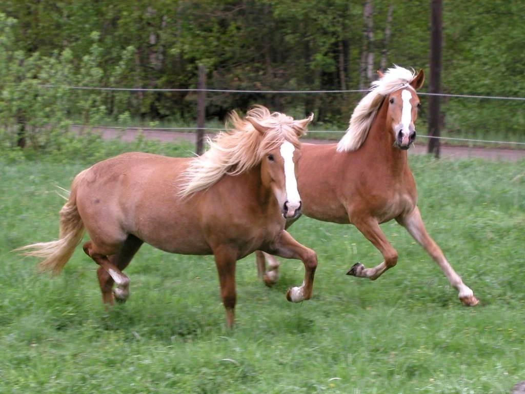 Autors: Publicitātes foto.