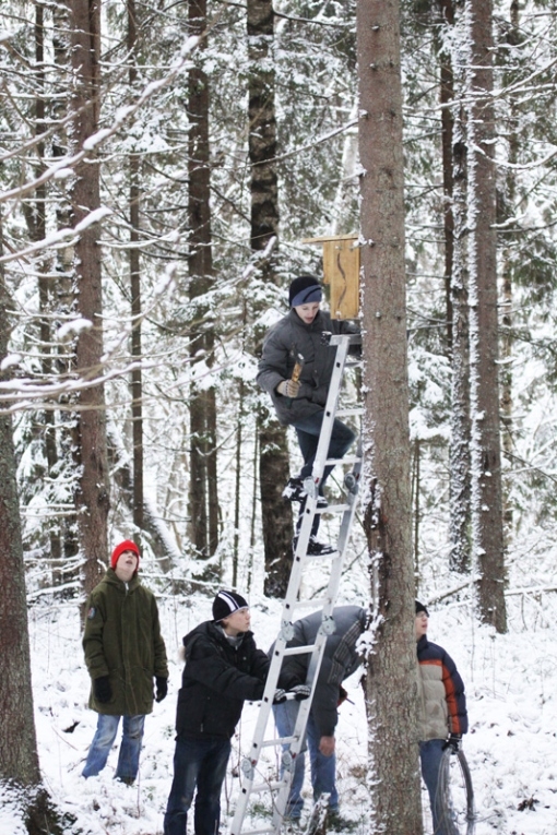 Autors: no personiskā arhīva