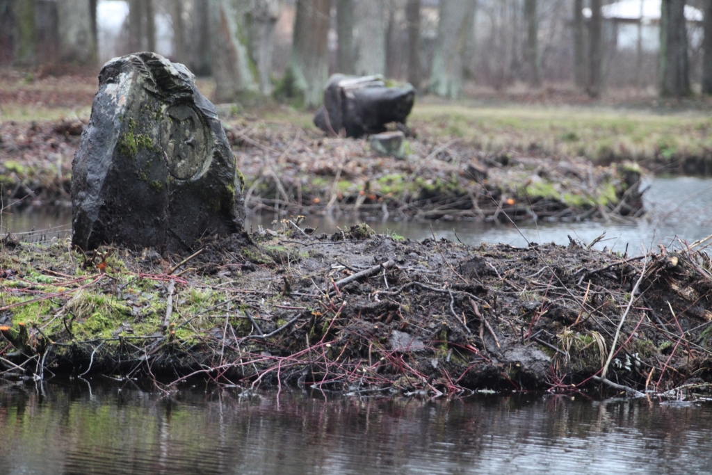 Darbs pie vēsturisko baronu laiku akmeņu izcelšanas bijis pamatīgs, jo to izmērs un svars ir ievērojams. Pašlaik ikviens var doties uz parku un aplūkot četrus akmeņus.	
Autors: Gatis Bogdanovs
