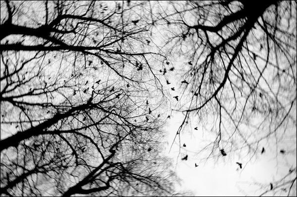 Autors: www,girtsragelis.lv