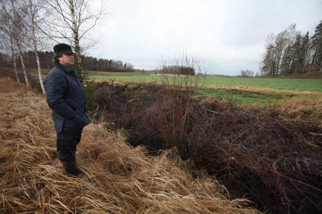 Daukstu pagasta SIA „Upītes USG” saimnieks Uldis Hanzens uzskata, ka meliorācijas grāvis nevar kalpot par nogriezto krūmu uzglabāšanas vietu un traucēkli tā sakopšanai.
Autors: Gatis Bogdanovs