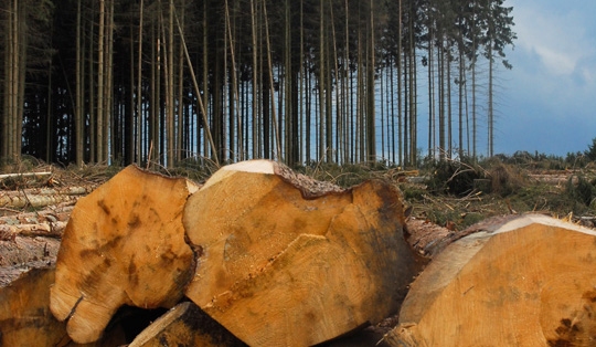 Autors: no interneta