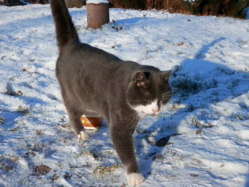 Autors: no “Ķepaiņu draugu klubs” arhīva