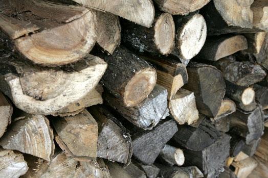 Autors: www.kasjauns.lv