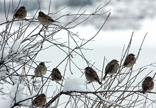 Autors: www.delfi.lv