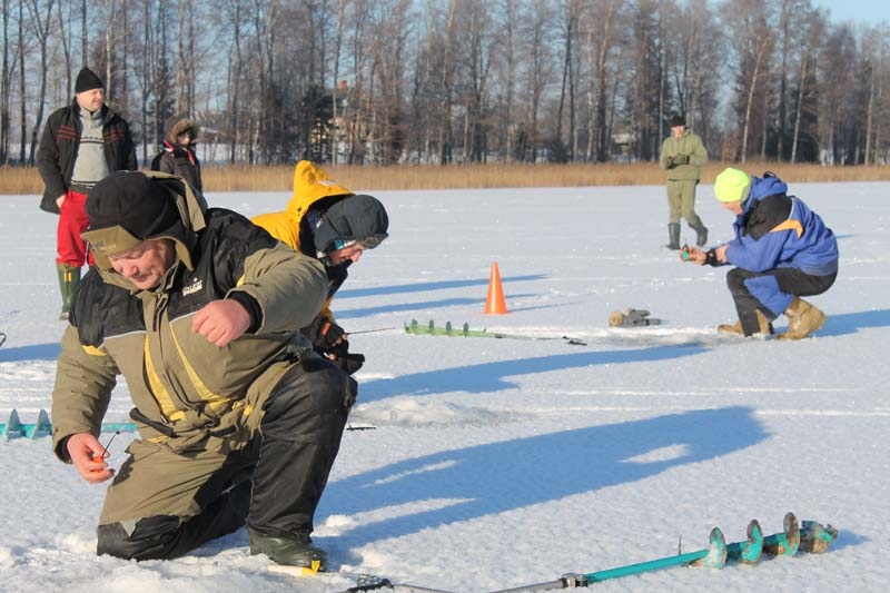 Autors: Ziedonis Lazdiņš