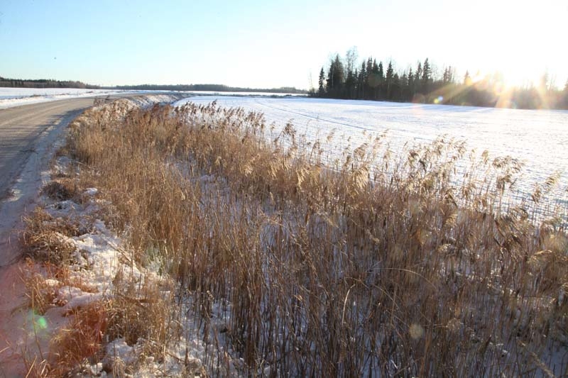 Autors: Gatis Bogdanovs