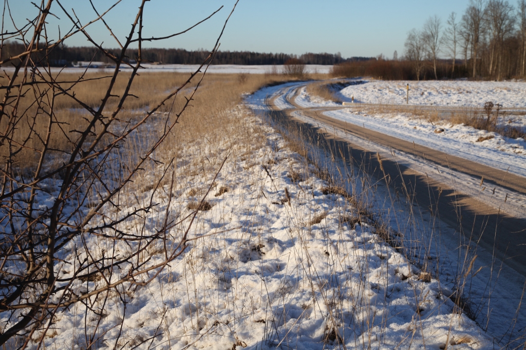 Kailsals neatlaiž jau labu laiku. Kad tas mitēsies un kādas ir jaunākās laikapstākļu prognozes? 
Autors: Gatis Bogdanovs