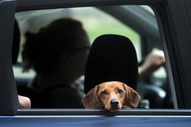 Autors: www.lvportals.lv