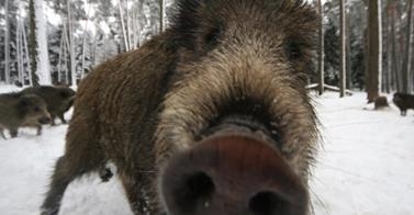 Autors: www.facebook.com