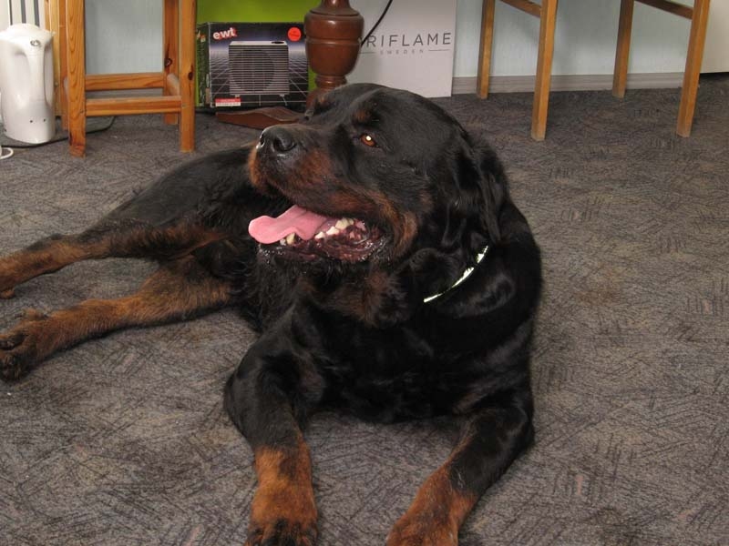 Autors: Ira Žeigure