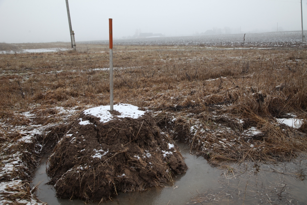 Autors: Gatis Bogdanovs