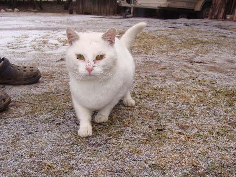 Autors: no personiskā arhīva