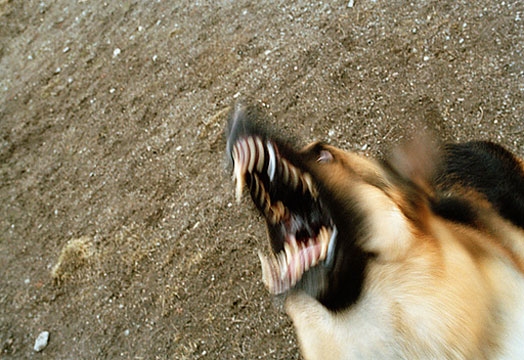 Autors: www.kasjauns.lv