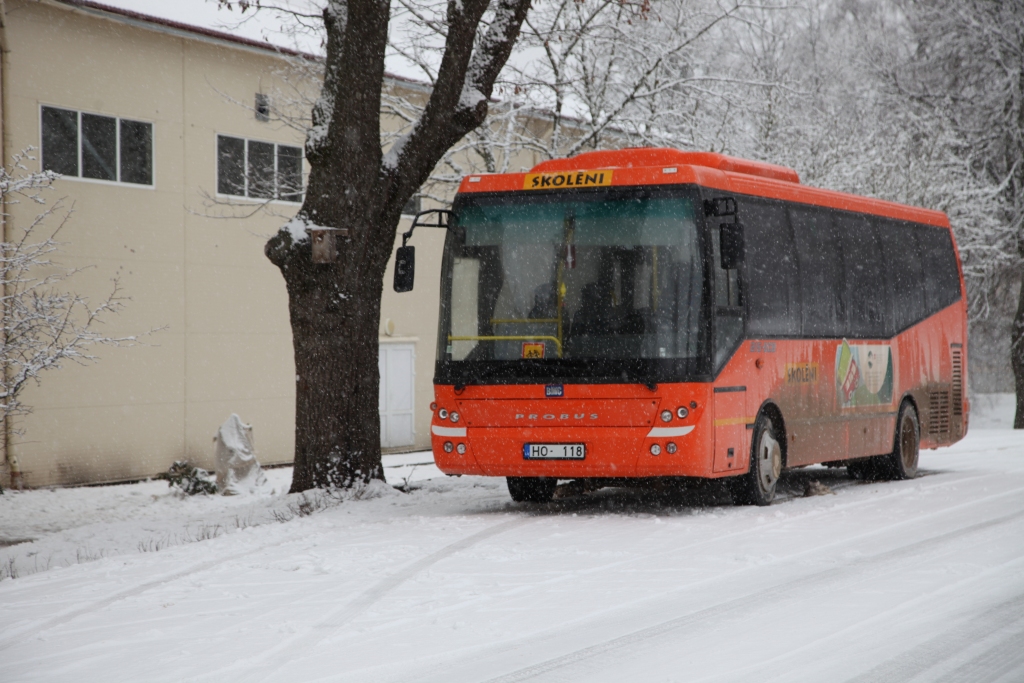 Vislielākās problēmas ar oranžajiem skolēnu autobusiem ir Stāmerienā, kā arī Tirzā (attēlā). Šiem pagastiem ir tikuši izmēra ziņā paši lielākie autobusi, kuri lauku ceļiem ir vismazāk piemēroti. 
Autors: Gatis Bogdanovs
