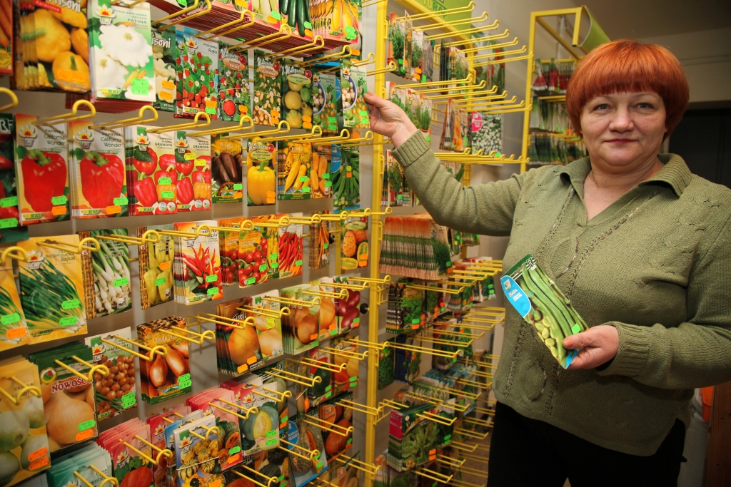 Veikala „Dārza bodīte” pārdevēja Ilze Zviedre stāsta, ka šogad pie sēklu stenda valdot liela rosība. Cilvēki iegādājoties gan dažādu puķu, gan dārzeņu sēklas. Īpaši pieprasot un ātri vien izpērkot lielo cinniju sēklas. Daudzi izvēloties saldos zirņus un citu. „Pieprasījums pēc sēklām liecina par to, ka cilvēki ir nolēmuši visu vairāk audzēt paši, nevis pirkt tikai veikalā. Šogad ir plaša zirņu un tomātu sēklu izvēle. Pirmo reizi nopērkamas cūku pupas, kam izaugot ļoti garas pākstis. Par to, vai tas tā ir, esmu nolēmusi pārliecināties arī pati,” saka I.Zviedre. 
Autors: Gatis Bogdanovs  