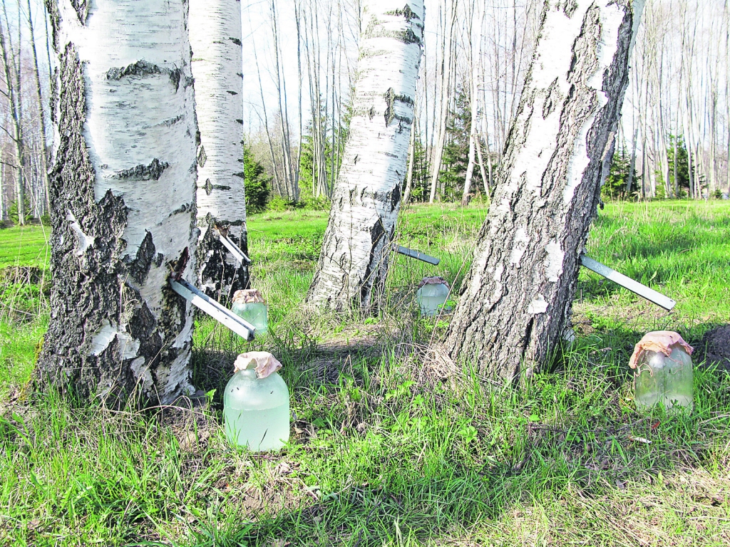 Autors: no no blogspot.com