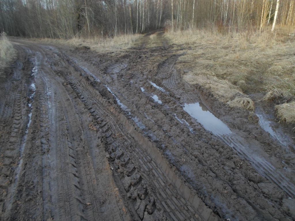 Pagasta ceļš, kas ved arī uz “Valgumu” mājām, šādi izskatījās šīs nedēļas sākumā. Šinīs dienās tas tiekot regulāri planēts. 
Autors: no personiskā arhīva